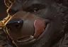 UrsaCelare's Avatar
